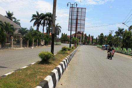 Tanaman di Jalan Sudirman Banyak Mati