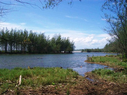 Artis Sumbar Goyang Mukomuko