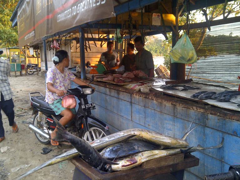 Harga Ikan Laut  Melonjak