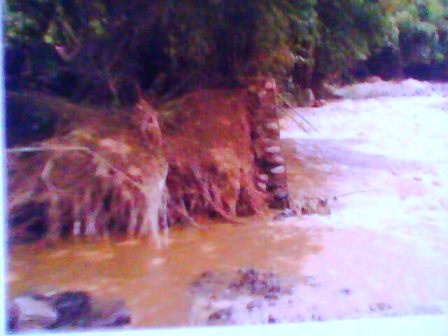 Irigasi Jebol, Petani Gagal Panen