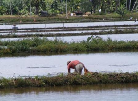 Petani Minta Irigasi