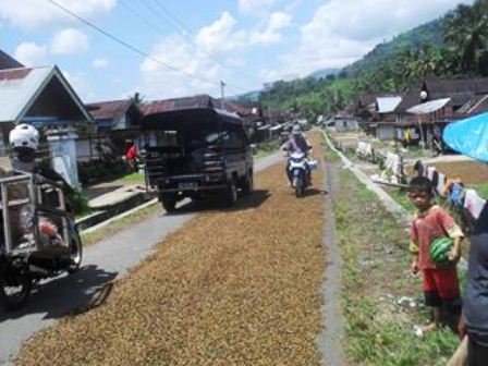 Kopi Ganggu Pengguna Jalan