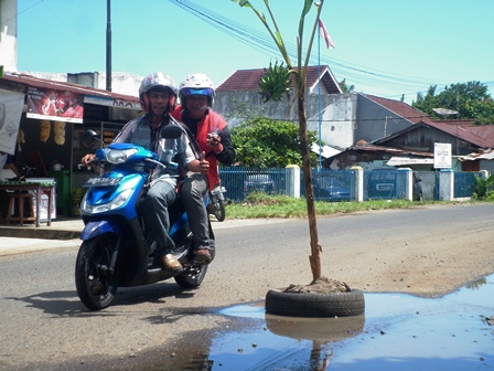 Pisang Berbuah di Jalan Kota