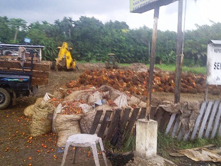 Tertibkan Lokasi Penitipan TBS