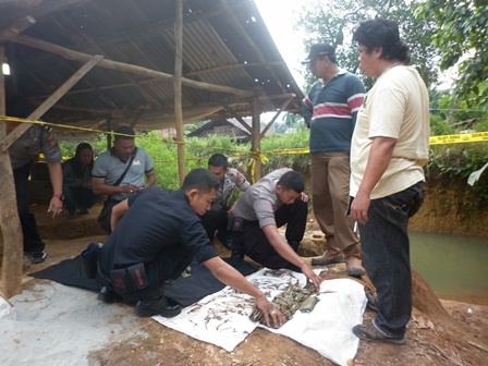 JIBOM : Tampak tim penjinak bom dari Mapolda Bengkulu sedang mengevakuasi ratusan peluru.