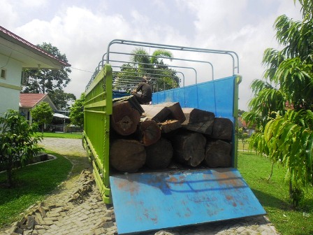 Tersangka 16 Kubik Kayu Ilegal Segera Disidang