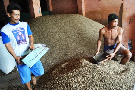 Harga Karet dan Kopi Pengaruhi Peminat Emas