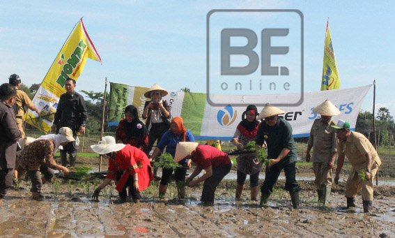 Sawah Alih Fungsi, Gubernur Ancam Stop Bantuan