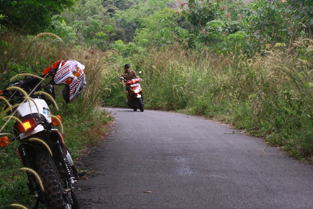 Jalan Tertutup Rumput Liar