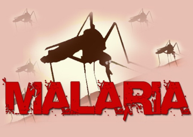 Waspadai Penyakit Malaria