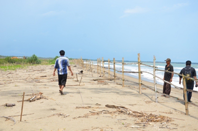 Abrasi Ancam Padang Betuah