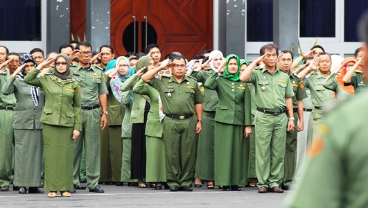 Lebong Masih Kurang PNS