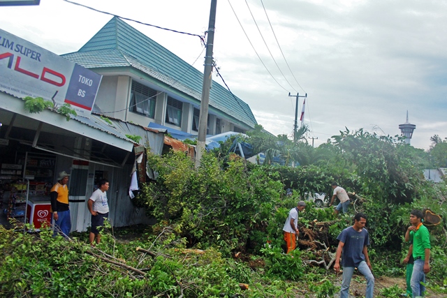 Pohom Tumbang Hantam Lapas dan Ruko