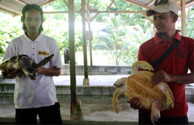 Sukses Rebut Pulau Kepayang dari Tangan Tommy Soeharto