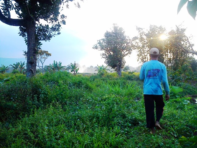 Program Percetakan Sawah  Terbangkalai