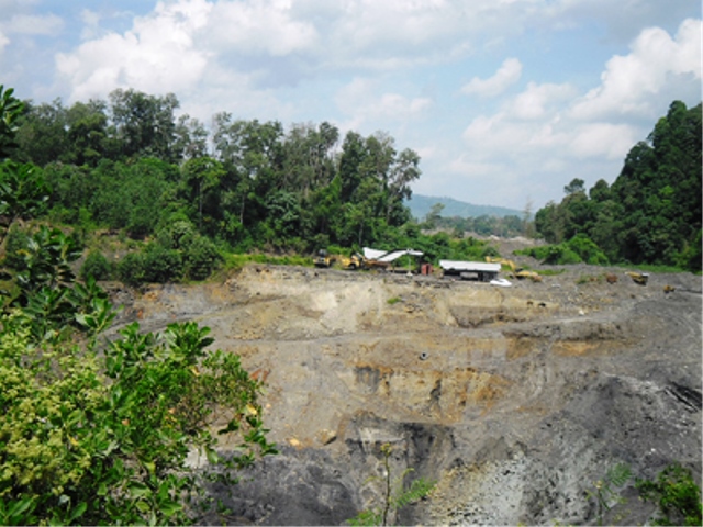 Pengawasan Hutan Sangat Minim