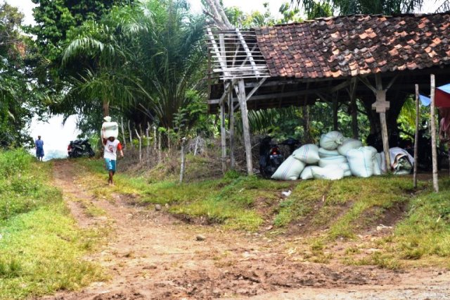 Petani Kesulitan Angkut Hasil Panen