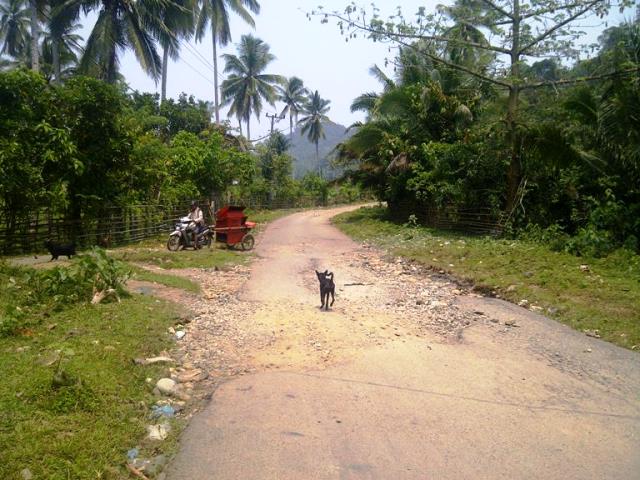 Kondisi Jalan Dikeluhkan