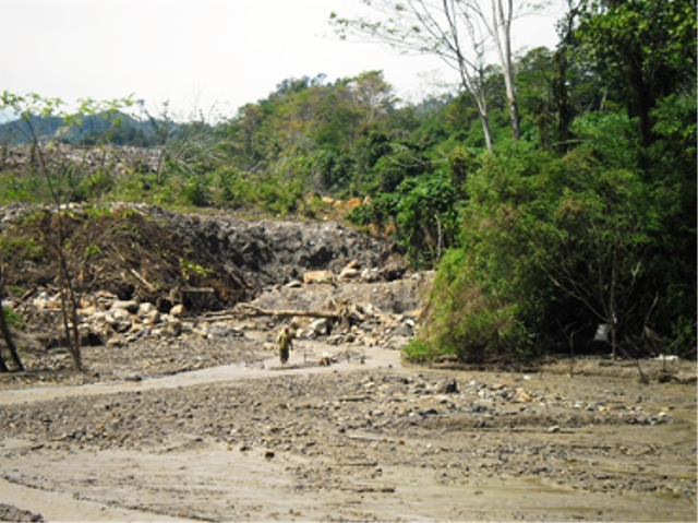 Hutan Gundul Picu Banjir