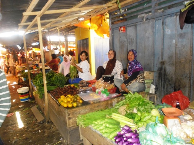 Petani Bingung  Bercocok Tanam