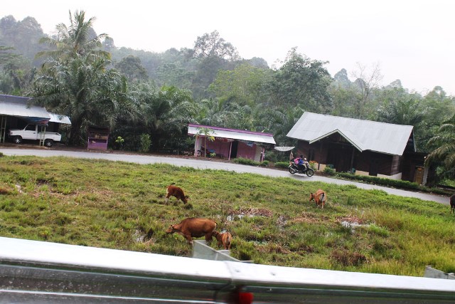 Kepala Sekolah jadi Korban Curnak