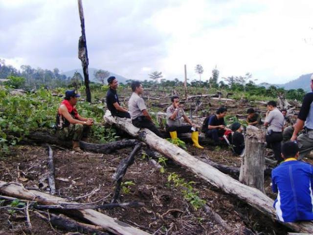 Hutan Telaga 7 Warna Dirambah