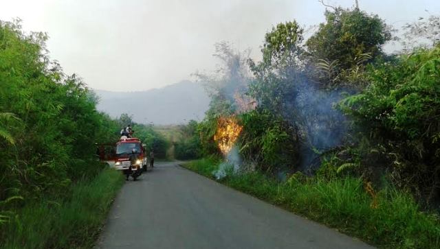 Puntung Rokok Bakar Lahan