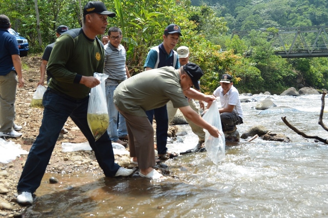 15 Ribu Benih Ikan Dilepas