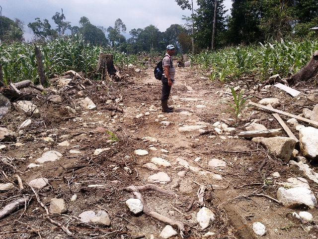 Cetak Sawah Baru Terkendala HPT