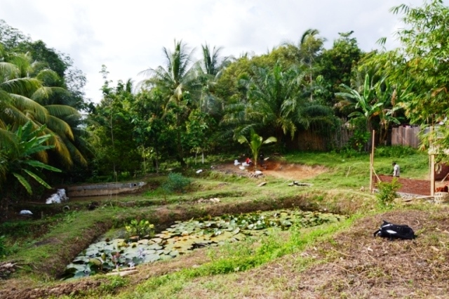 Poktan Air Jawa  Siapkan Kolam Pembinaan