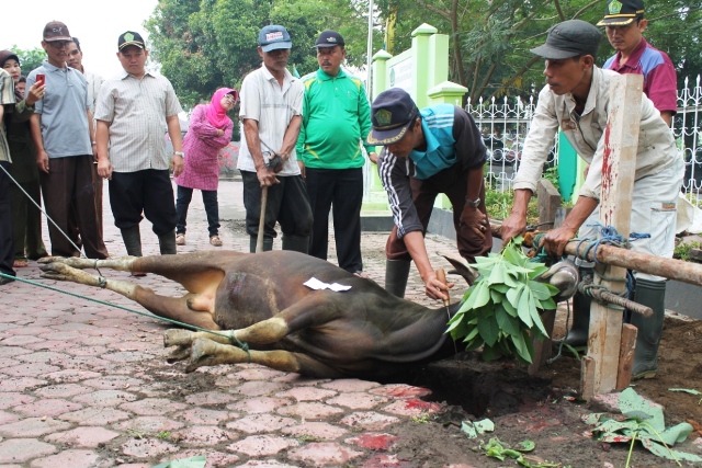 Kemenag Gugah Keinginan Berkurban