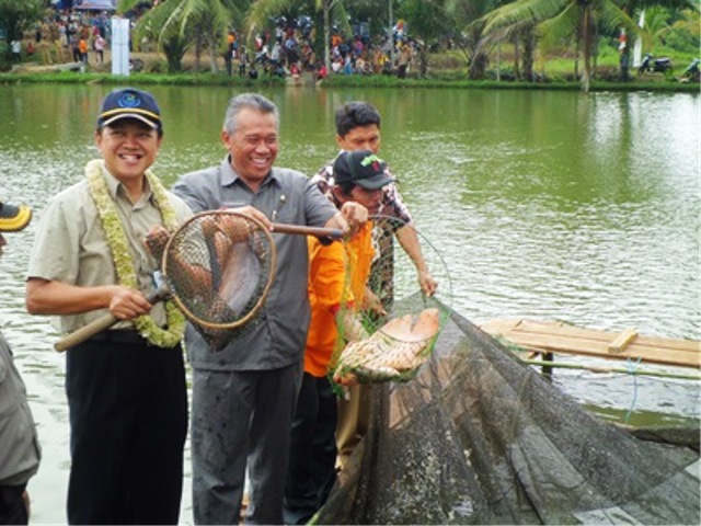 Ikan Padang Jaya 20 Ton/Hari