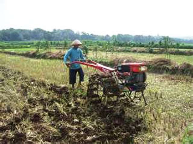 Pertanian Topang Kemajuan Ekonomi