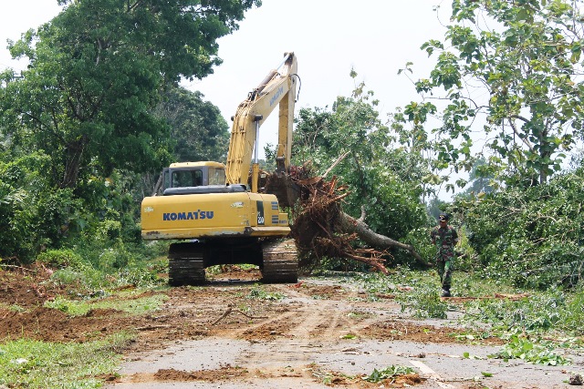 Rusak Hutan Kota, Kontraktor  Terancam 15 Tahun Penjara