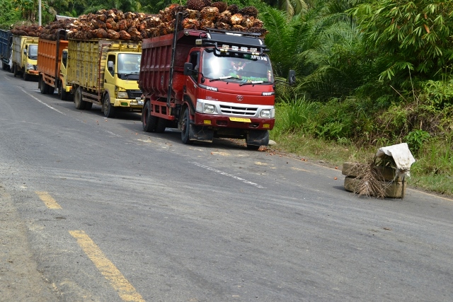 Lokasi Pabrik CPO Disorot Dewan