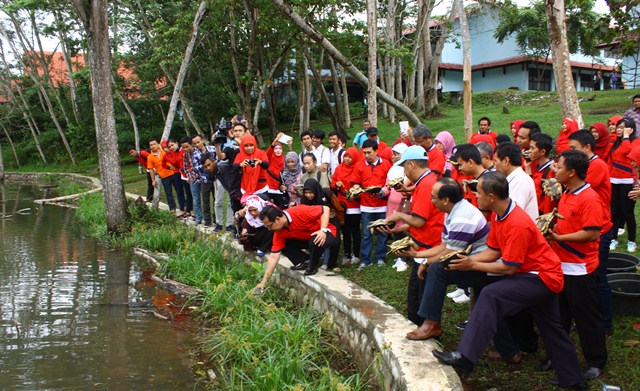 Rektor Unib Lepas Puluhan Kura -kura