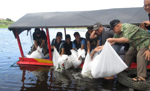 15 Ribu Ikan Dilepas