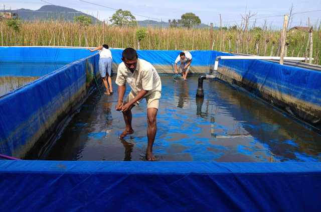 Bantuan Kolam Terpal