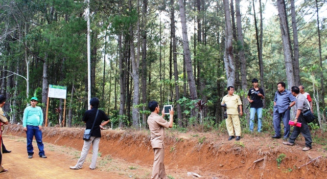 Dewan Minta Stop Penyadapan Hutan Pinus