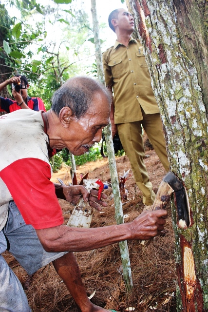 Polres Belum Terima Izin Penyadapan Pinus