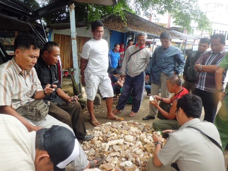 Ditengah Harga Karet Anjlok, Berburu Untung Jual Batu Akik