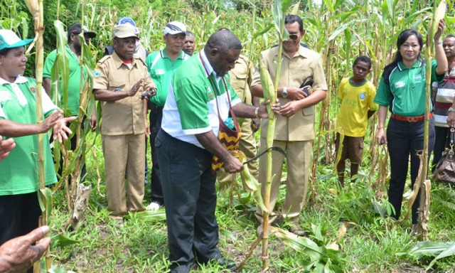 Papua Lumbung Pangan Nasional