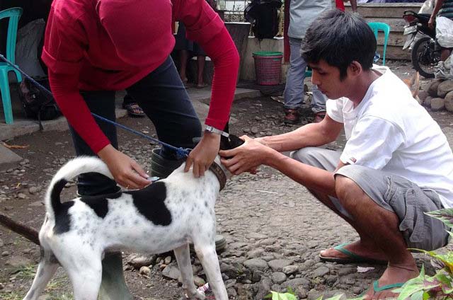 Waspada Rabies! Sosialisasi dan vaksinasi oleh DINAKKESWAN Provinsi Bengkulu