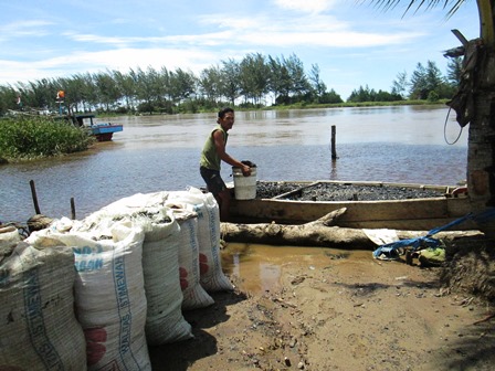 Usulan Break Water Kandas