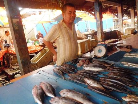 Harga Ikan Melonjak