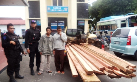 Brimob Amankan Pelaku Illegal Logging