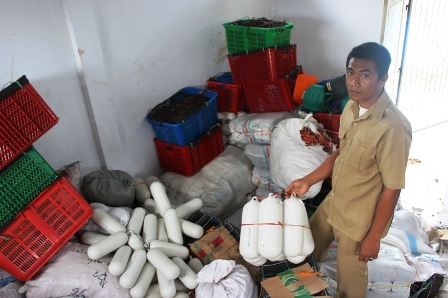 Tiga Pelabuhan Kecil Mulai Diaktifkan