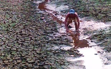 Petani Ikan Terancam Bangkrut