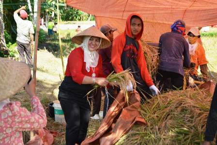 Riri: Kembalikan Lebong sebagai Lumbung Padi