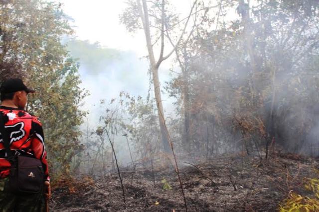 Lahan Kritis Bertambah